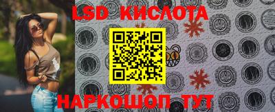 ГАЛЛЮЦИНОГЕННЫЕ ГРИБЫ Заволжье
