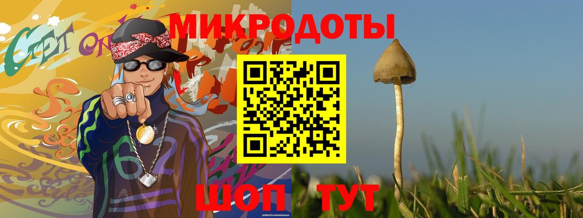 Псилоцибиновые грибы мицелий Таганрог